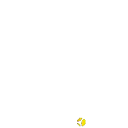 Zambia Breweries : 